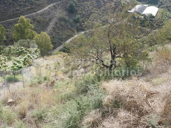 Terreno en Norte - Barrio del Pilar - El Reñidero