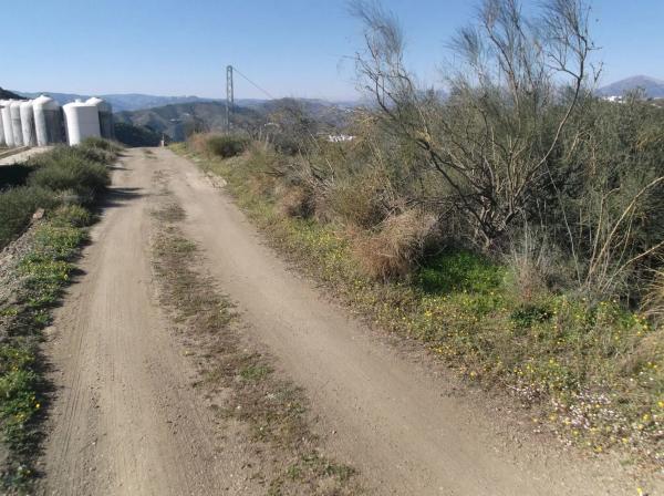 Terreno en castillo Luna, 2