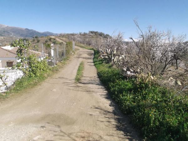 Terreno en castillo Luna, 2