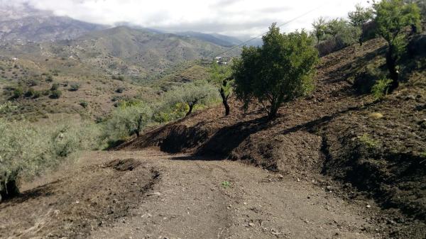 Terreno en castillo Luna, 2