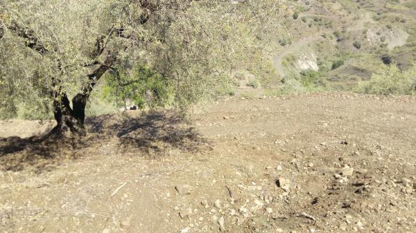 Terreno en castillo Luna, 2