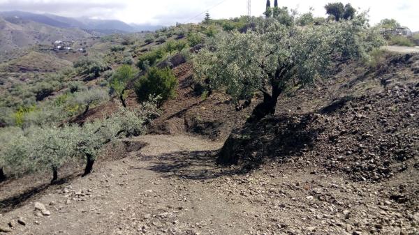 Terreno en castillo Luna, 2