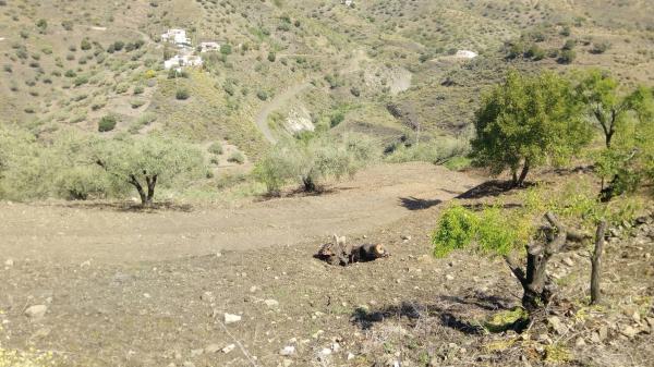 Terreno en castillo Luna, 2