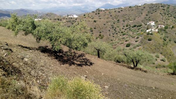 Terreno en castillo Luna, 2