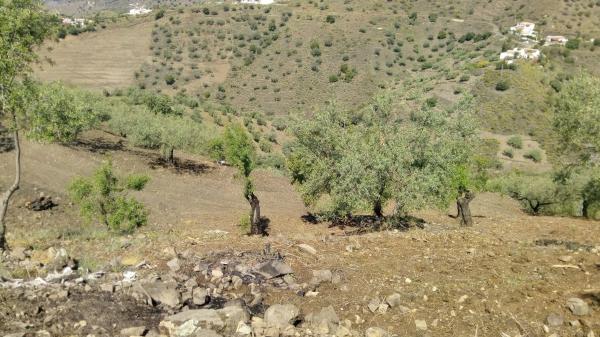 Terreno en castillo Luna, 2