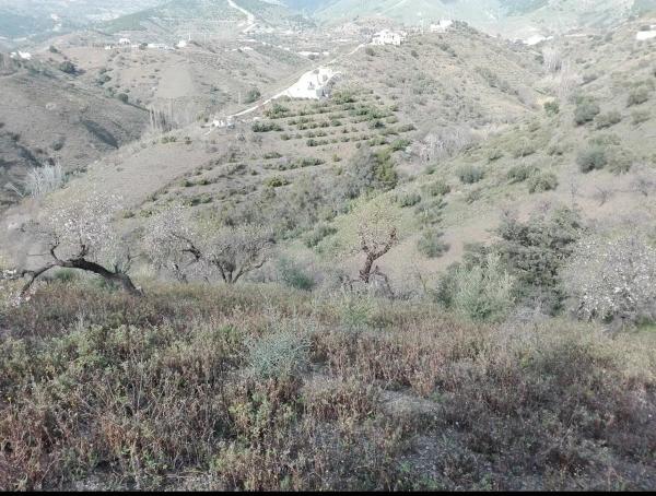 Terreno en Los Frailes s/n