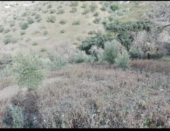 Terreno en Los Frailes s/n