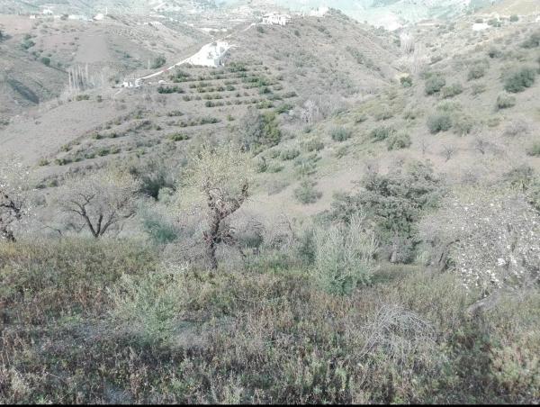 Terreno en Los Frailes s/n