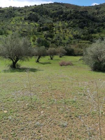 Terreno en camino de Estepera, 72