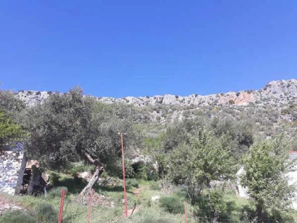 Terreno en Ma-8401, 12