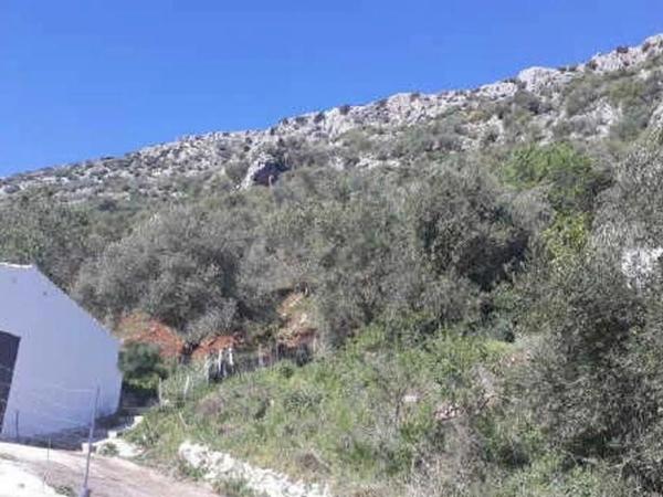 Terreno en Ma-8401, 12