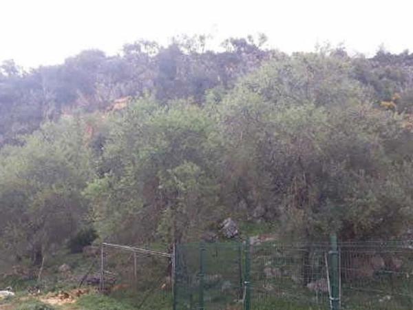 Terreno en Ma-8401, 12