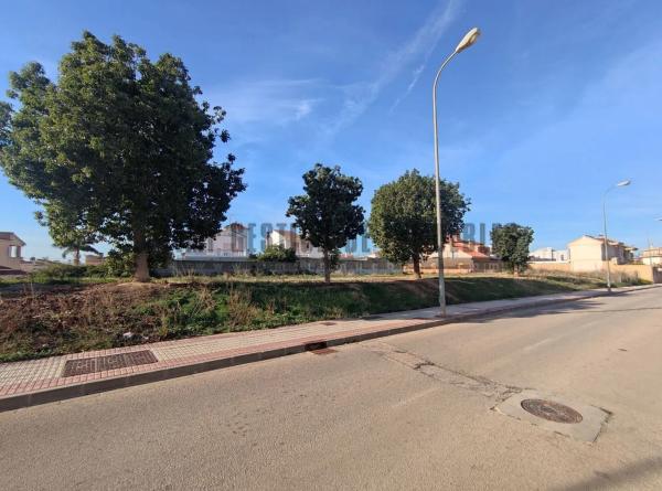 Terreno en calle Laureano Martin Garcia, 16