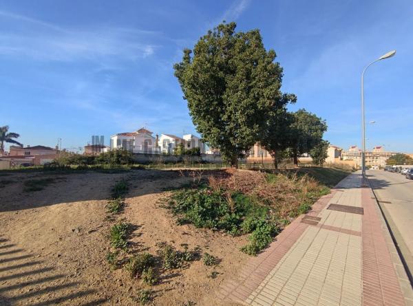 Terreno en calle Laureano Martin Garcia, 16