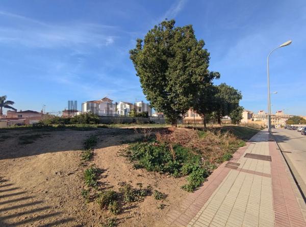 Terreno en calle Laureano Martin Garcia, 16
