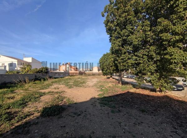 Terreno en calle Laureano Martin Garcia, 16