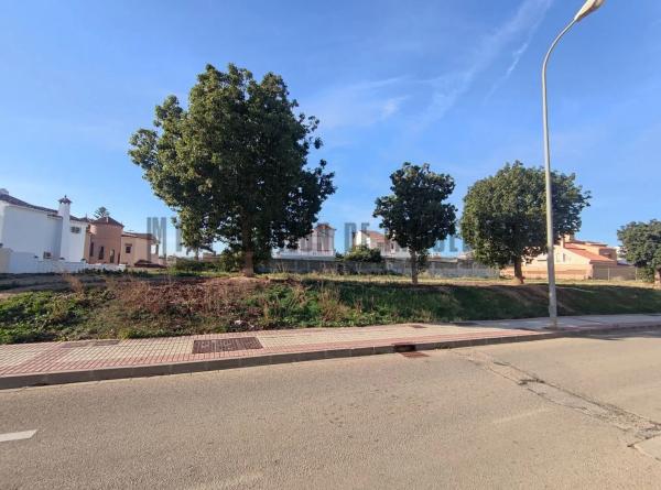 Terreno en calle Laureano Martin Garcia, 16