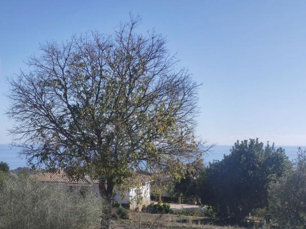 Terreno en Lugar Rancho de la Luz, km 445