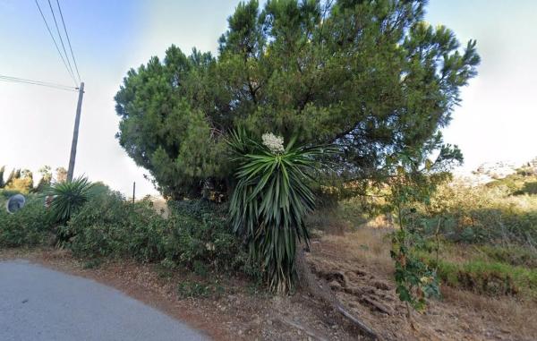 Terreno en calle Internacional City