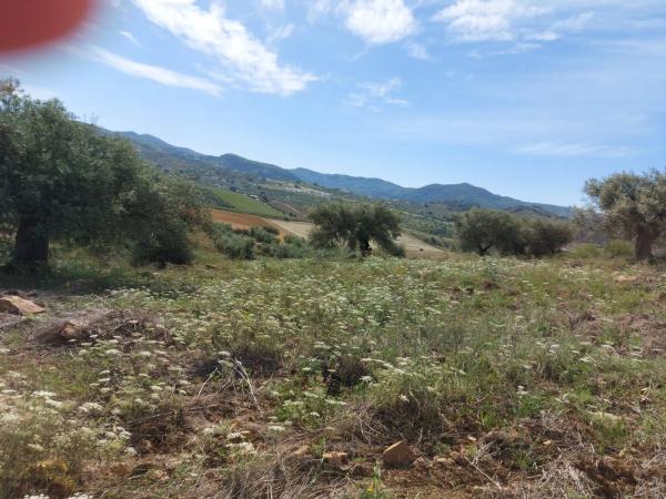 Terreno en calle Polígono 8 s/n Parc. 49