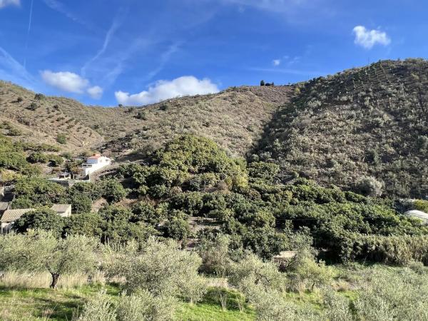 Terreno en Benagalbón
