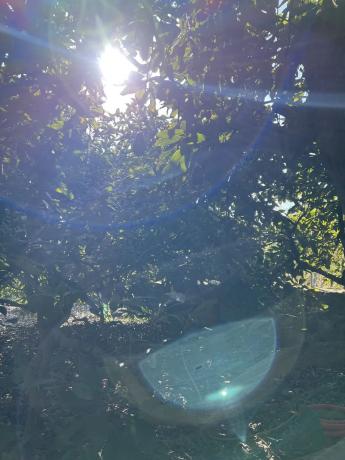 Terreno en Benagalbón