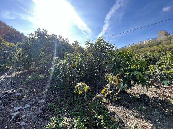 Terreno en Benagalbón
