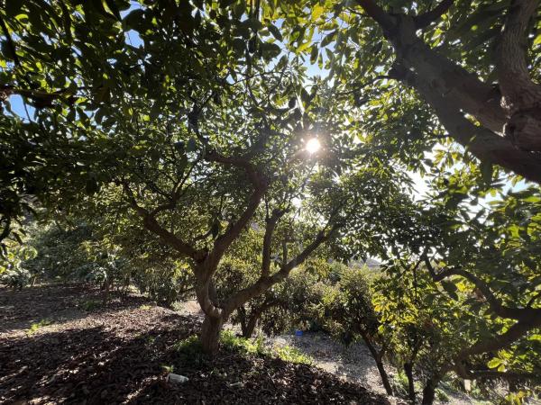 Terreno en Benagalbón