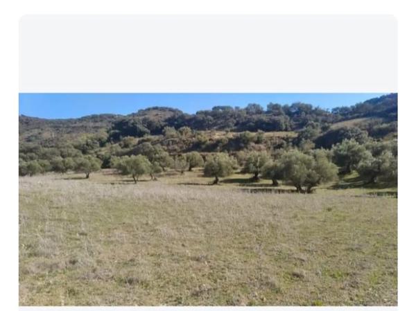 Terreno en carretera Ma -8307 s/n