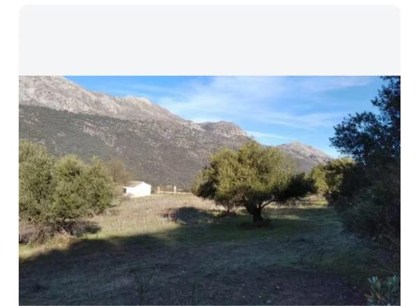 Terreno en carretera Ma -8307 s/n