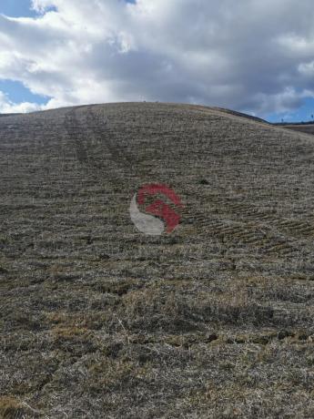 Terreno en Diseminados