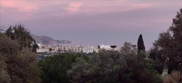 Terreno en calle Carolina