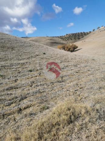 Terreno en Diseminados