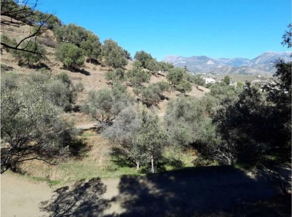 Terreno en calle Carolina