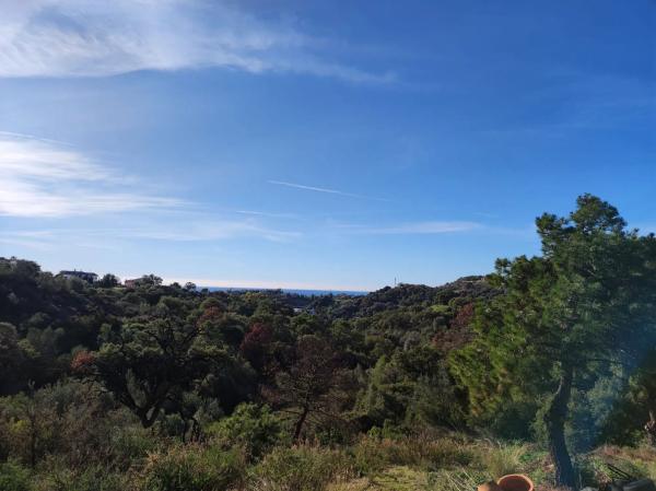 Terreno en Cophenague s/n