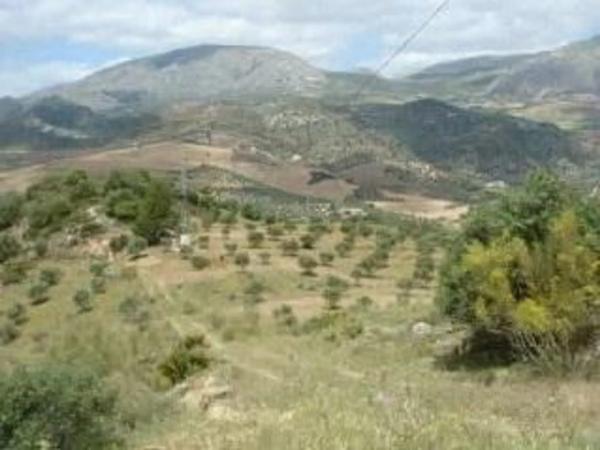 Terreno en Diseminado Poligono 3, 17