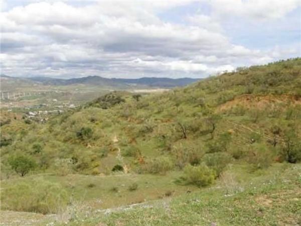 Terreno en Arroyo de la Dehesilla s/n