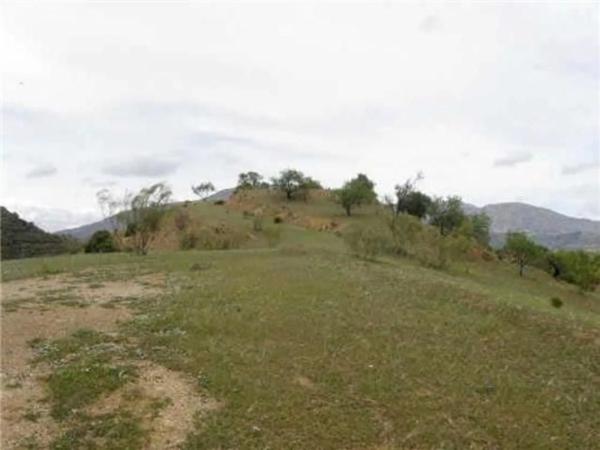 Terreno en Arroyo de la Dehesilla s/n