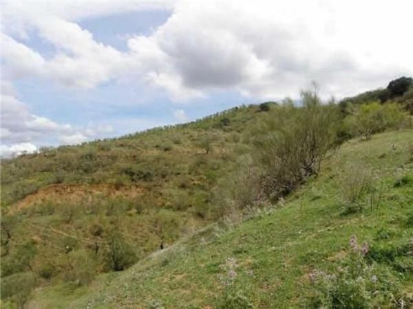 Terreno en Arroyo de la Dehesilla s/n