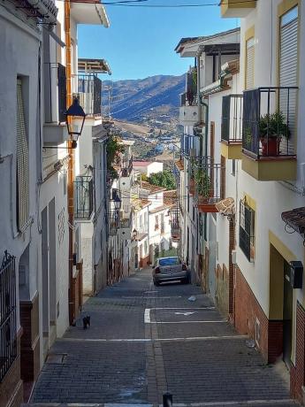 Terreno en Arroyo de la Dehesilla s/n
