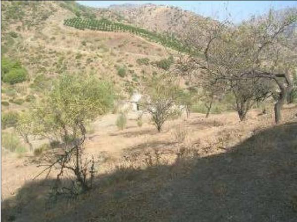 Terreno en V7g5+gj s/n