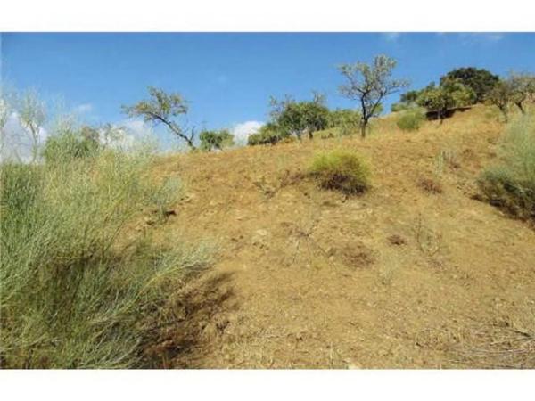 Terreno en V7g5+gj s/n