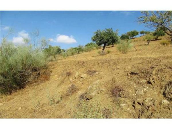 Terreno en V7g5+gj s/n