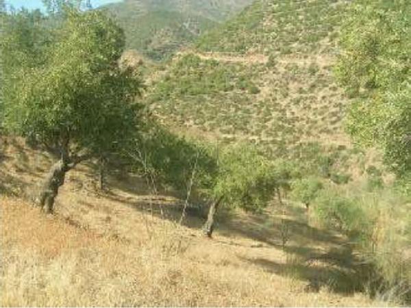 Terreno en V7g5+gj s/n