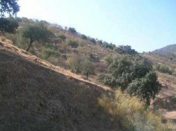 Terreno en V7g5+gj s/n