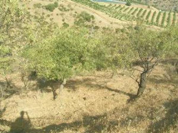 Terreno en V7g5+gj s/n