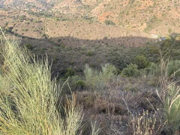 Terreno en camino Altos de Jaboneros s/n