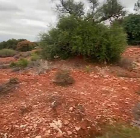 Terreno en Urbanizacion La Paca