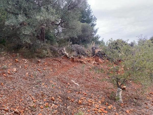 Terreno en Urbanizacion La Paca
