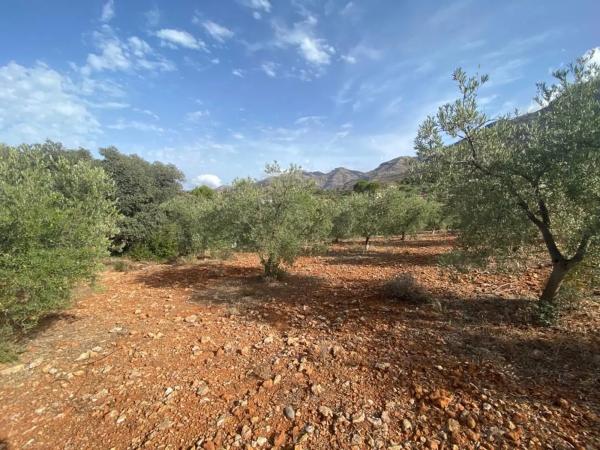 Terreno en Urbanizacion La Paca